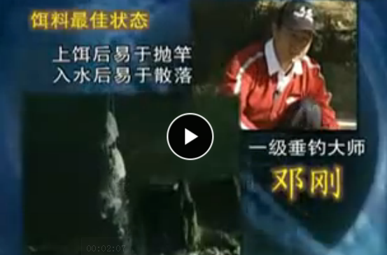 邓刚钓鱼系列 完整版 全5部 视频教程 教学视频 百度网盘下载