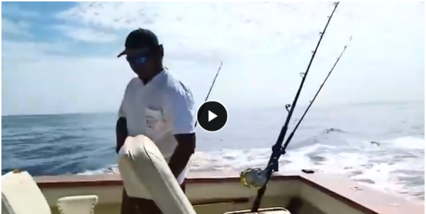 极限钓鱼 第一、二、三季 视频教程 钓鱼人必看 教学视频 百度网盘下载